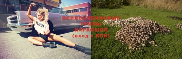 мдма Снежногорск