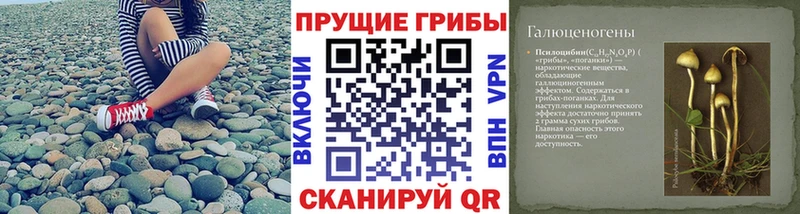 площадка наркотические препараты  Верхнеуральск  Галлюциногенные грибы Psilocybe  где купить наркотик 