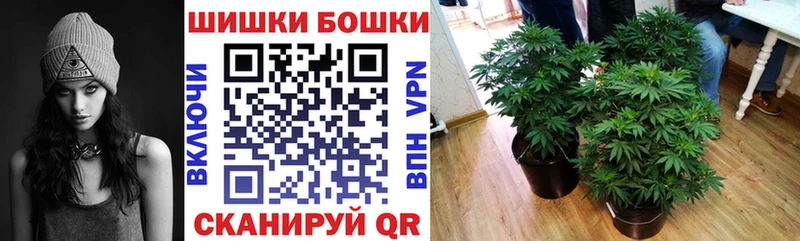 Шишки марихуана планчик  купить наркотики цена  Верхнеуральск 